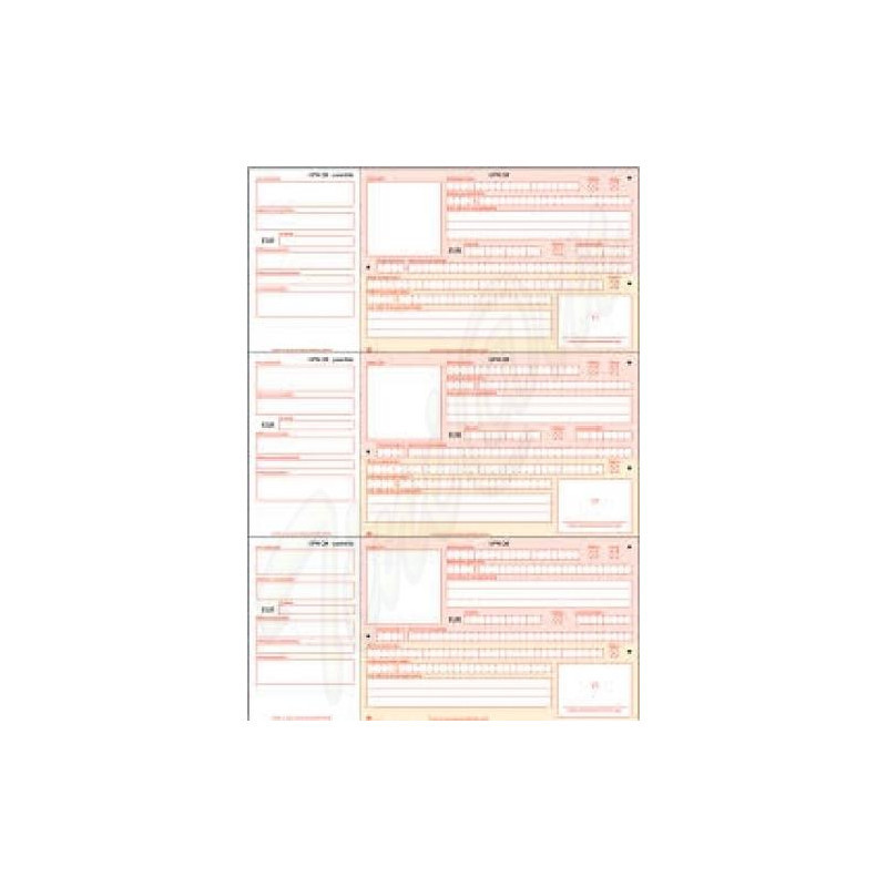 Obrazec UPN QR (položnica), A4, 3/stran